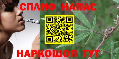 дмт Обь