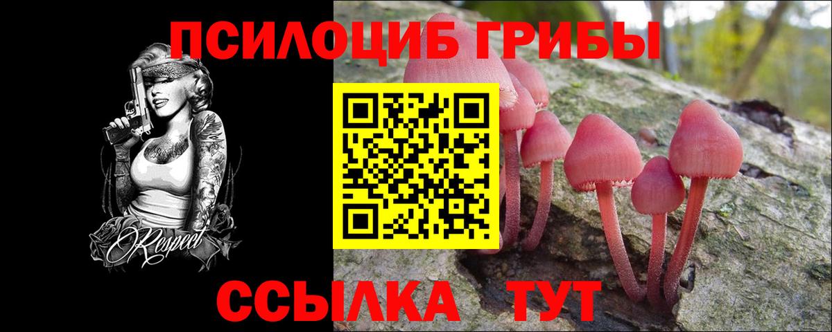 Галлюциногенные грибы мухоморы Советская Гавань