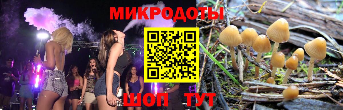 Псилоцибиновые грибы мухоморы  Вход с VPN  Советская Гавань 